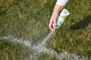 4 - Grass being sprayed with PlastiKote Garden Games