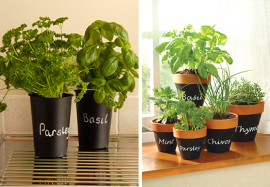herb containers