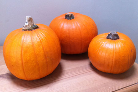 pumpkins-before