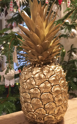pineapple-on-own-2