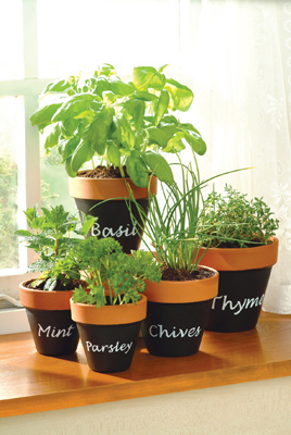 chalkboard herb pots
