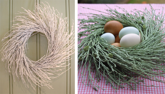 EAster egg nest