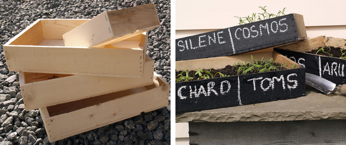 before and after seed boxes