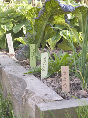 vegetable tags
