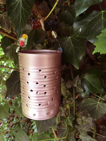 Rose Gold tin can lantern