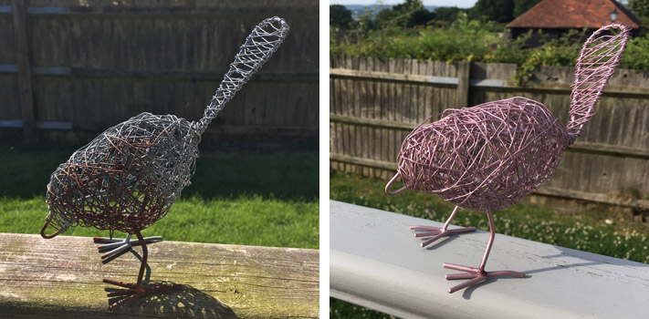 bird before and after